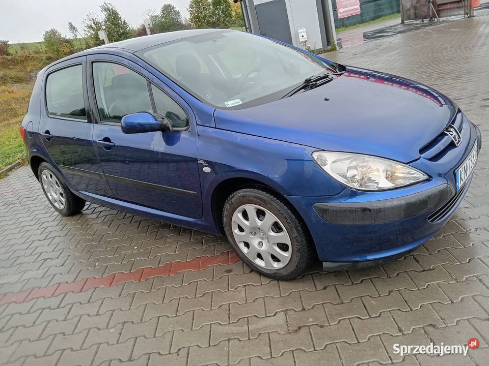 Peugeot 307 16 164 Przebiegu zmieniarka CD