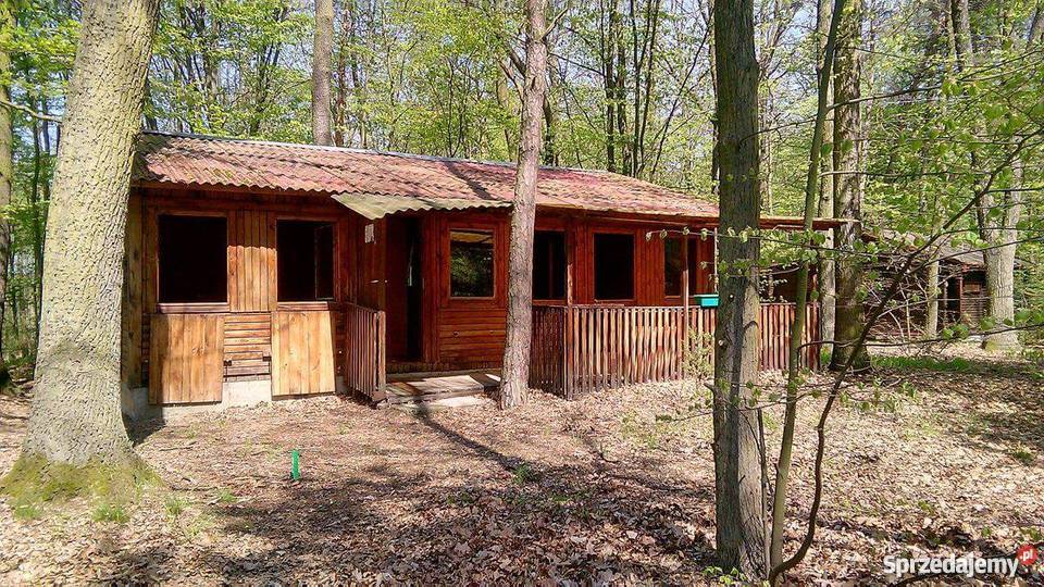 Domek letniskowy Liczba pokoi 3 Domy