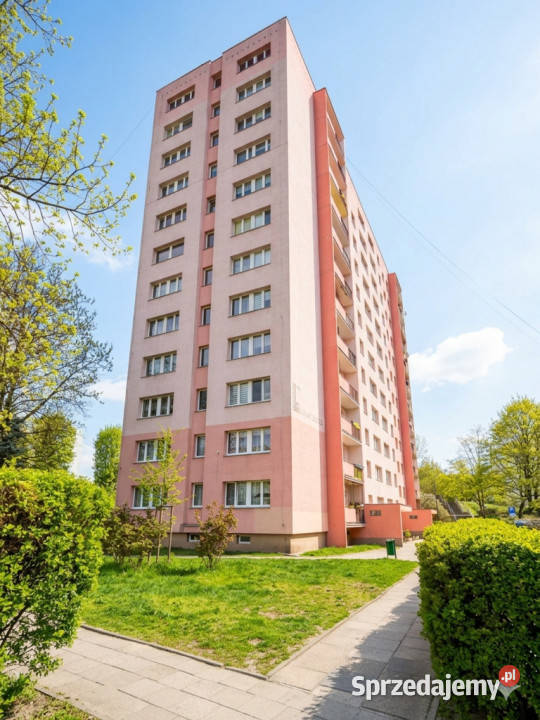 Zrób tu 2 pokoje i żyj król 300 Szczecin sprzedam