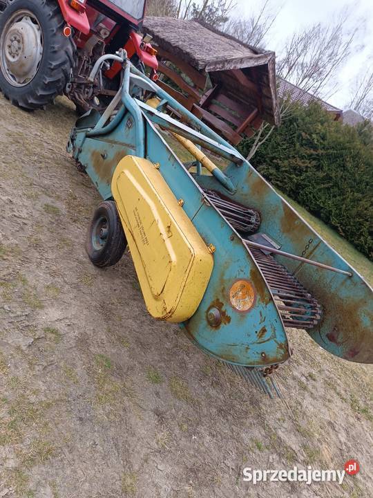 Kopaczka do ziemniaków elewatorowa świętokrzyskie Czartoszowy sprzedam