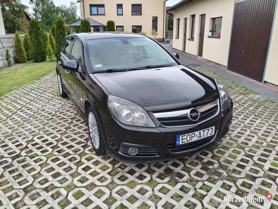 Opel Signum 19 CDTI 120 2008 Signum Tomaszów Mazowiecki sprzedam
