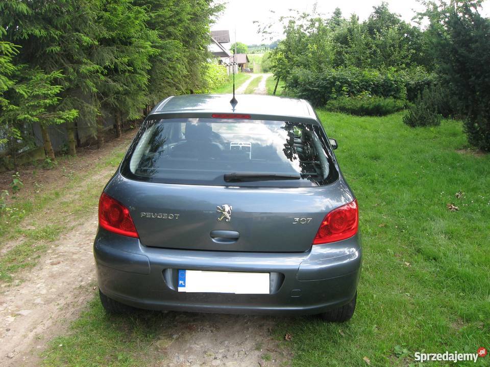 Peugeot 307 LIFT bogata wersja 20 benzyna 143 96 tempomat Kazimierz Dolny