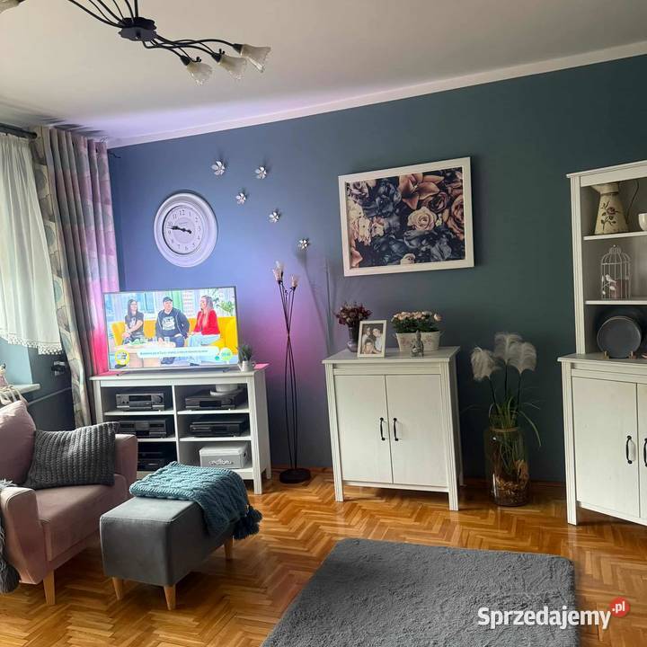 Duży rodzinny dom z miejscem na działalność Dąbrowa Zielona