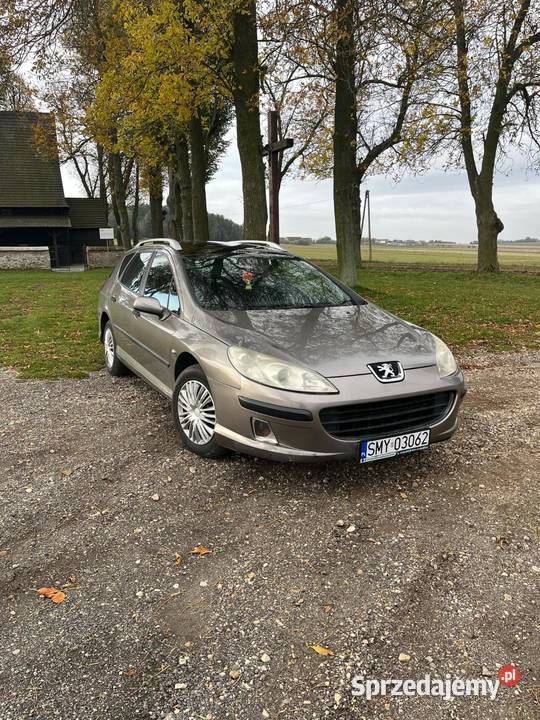 Peugeot 407 sw