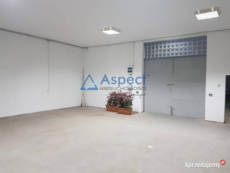 Lokal 100m2 Szczecin
