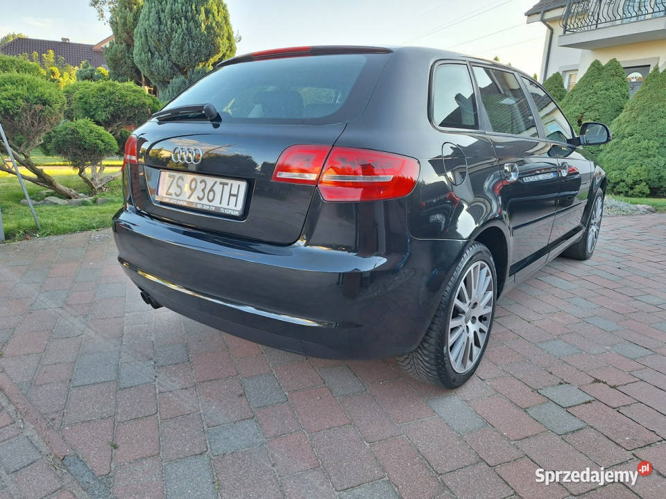 Audi A3 Sportback Klimatronik Serwisowany Stan ESP Motoryzacja Załom sprzedam