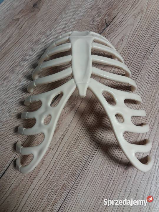 Tajemnice ludzkiego ciała kolekcja DeAgostini II Cieszyn