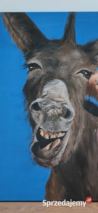 Kumple śląskie Katowice