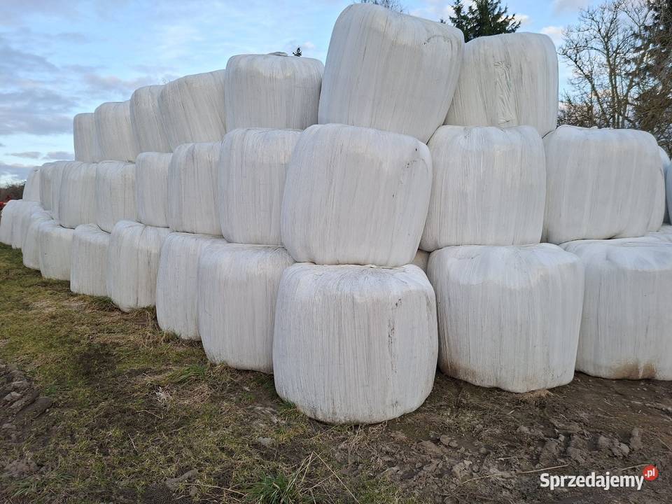 Baloty sianokiszonka