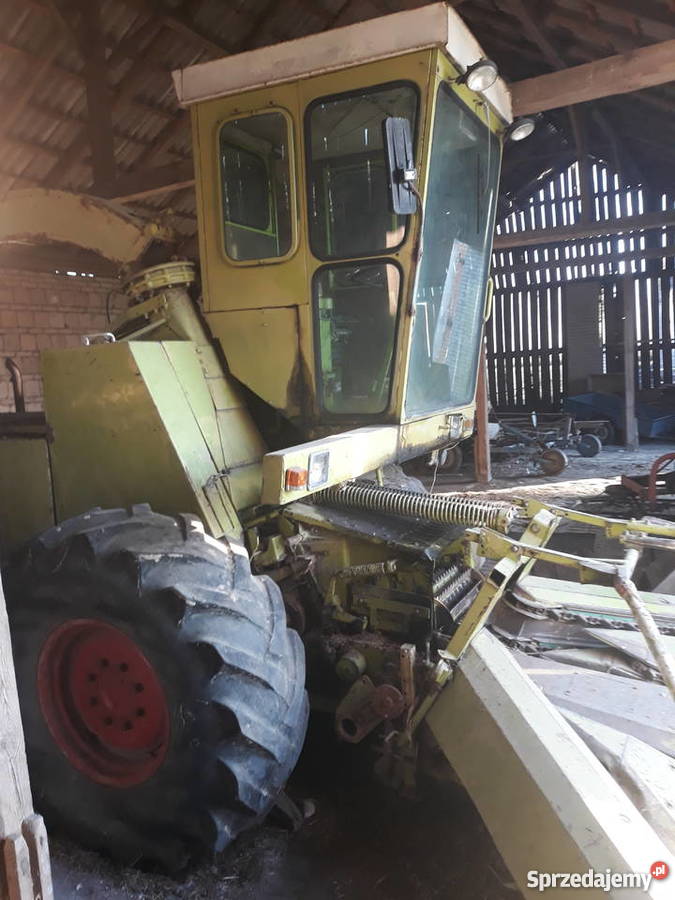 Sieczkarnia Class Jaguar 80SF z gniotownikiem Jaszczołty