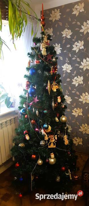 Piękna choinka wysoka 190 Rzeszów