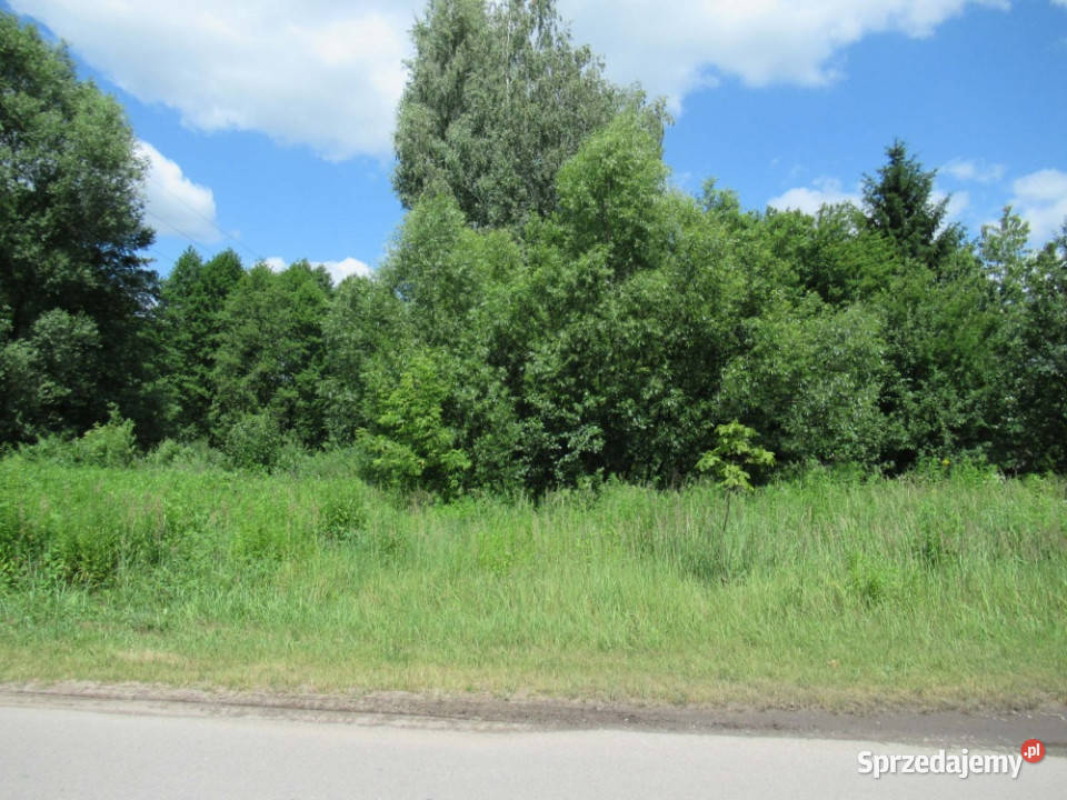 Sprzedam udział działka i dom świętokrzyskie Dyszów