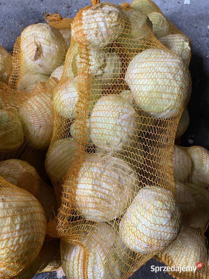 Marchew odpadowa i kapusta odpadowa Nasielsk sprzedam