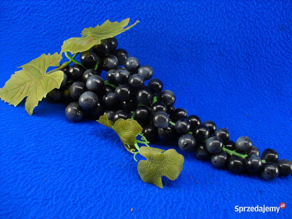 Winogrona do dekoracji Bielawa