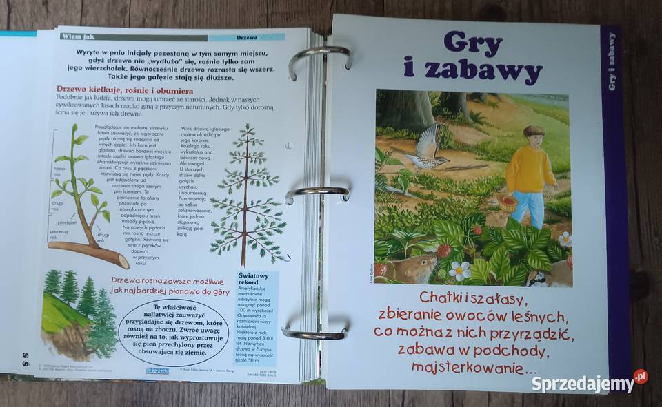 Leśne przygody segregator album DeAgostini