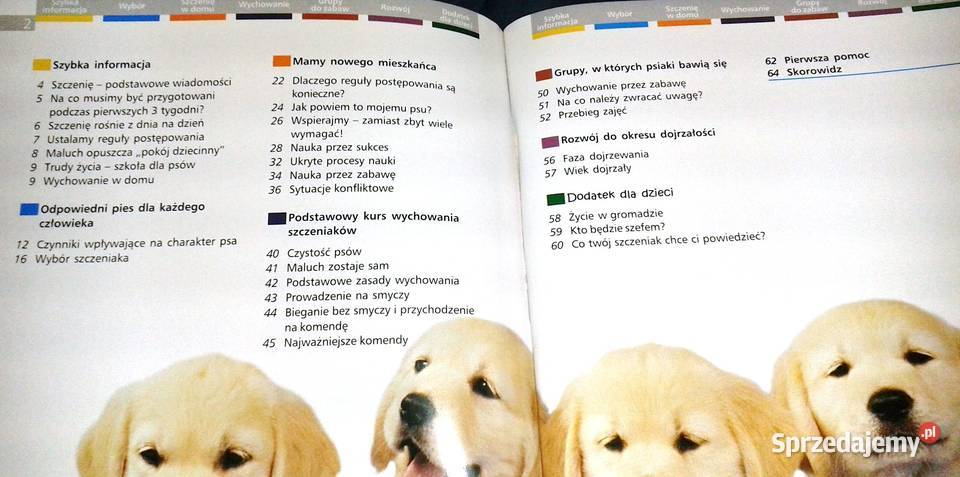 Szczenięta Heidi Rogner miękka lubelskie sprzedam