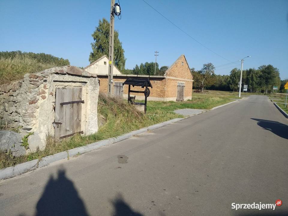 Działka siedlisko Romanów