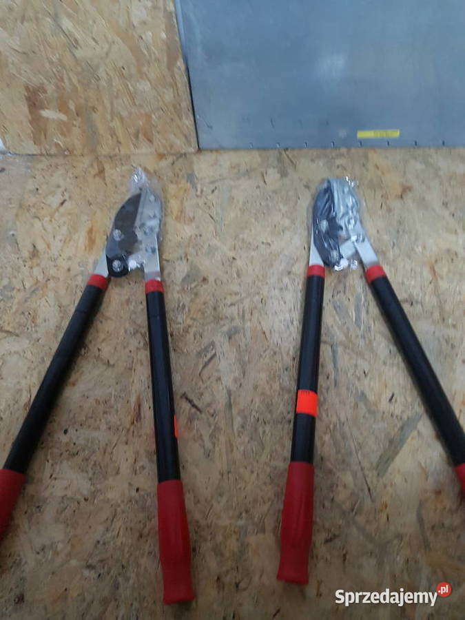 TELESKOPOWE NOŻYCE SEKATOR DO GAŁĘZI ŻYWOPŁOTU wielkopolskie Głogowa