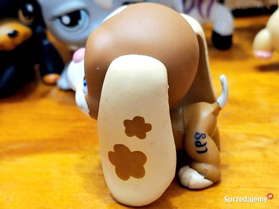 Pies basset plamki Littlest Pet Shop Hasbro Braniewo
