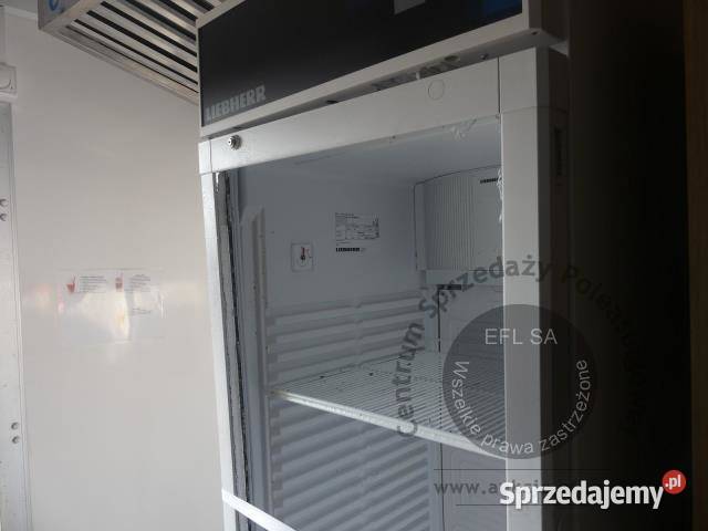 Przyczepa gastronomiczna LODYGOFRY TANO z Magnice