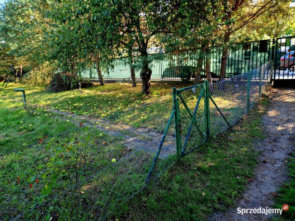 Ogródek Działkowy ROD Bajki kolonia Rozmaryn