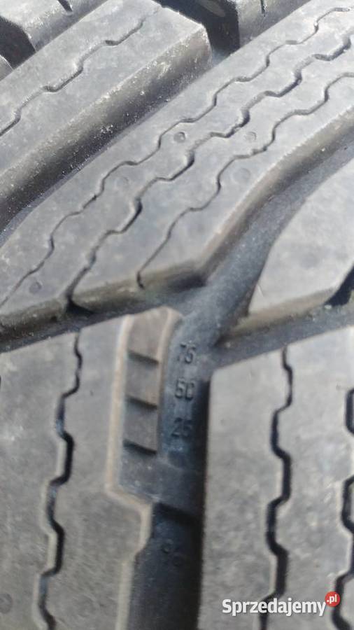 Opona zimowa Michelin Alpin 6 20555R16 91T Bielsko-Biała sprzedam