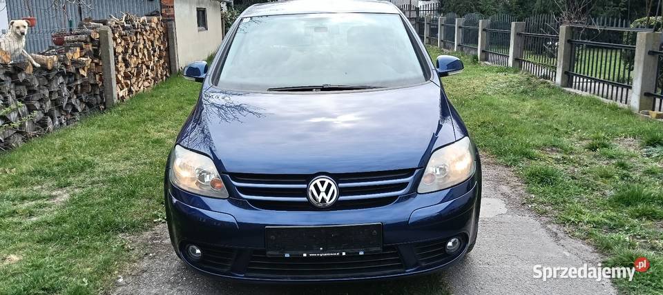 VOLKSWAGEN GOLFPLUS 19 Disel nieuszkodzony Golf Plus Prochowice sprzedam
