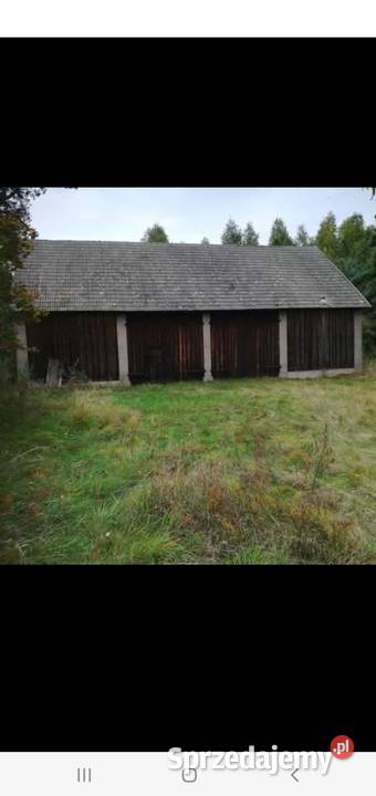 Sprzedam siedlisko 40a Dąbrowy gm Rozogi warmińsko-mazurskie