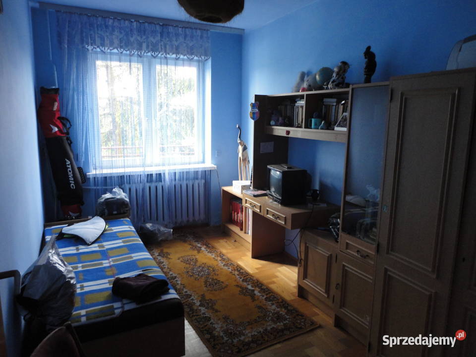 ce na jednej działce wolnostojący Sochocin