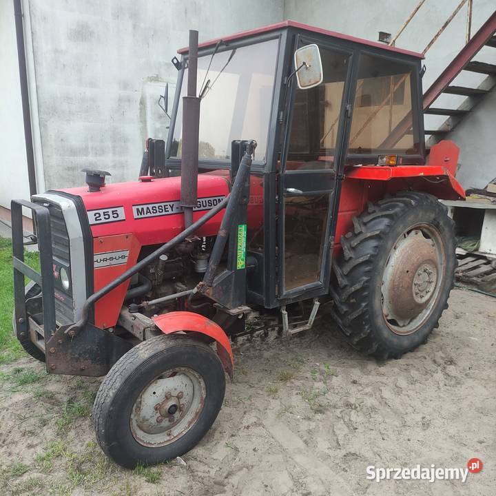 MF 255 1990 Popielina sprzedam