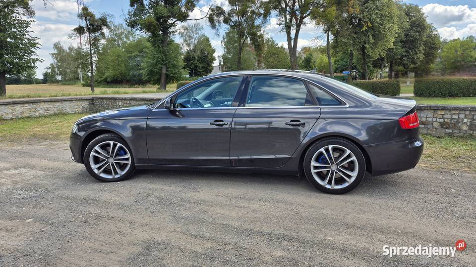 Audi A4 B8 Turawa