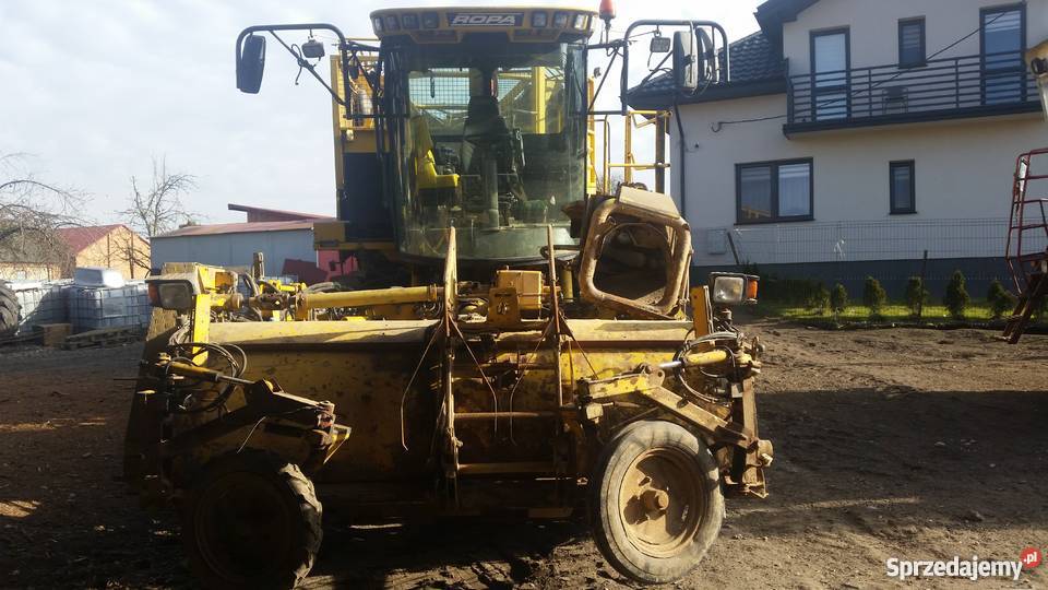 Kombajn ropa euro tiger Deszkowice Drugie