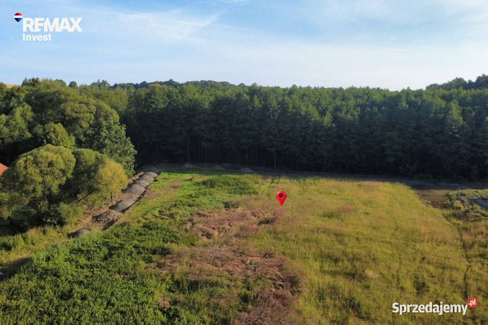 Działka pod lasem 2438 m Międzyrzecze Górne sprzedam