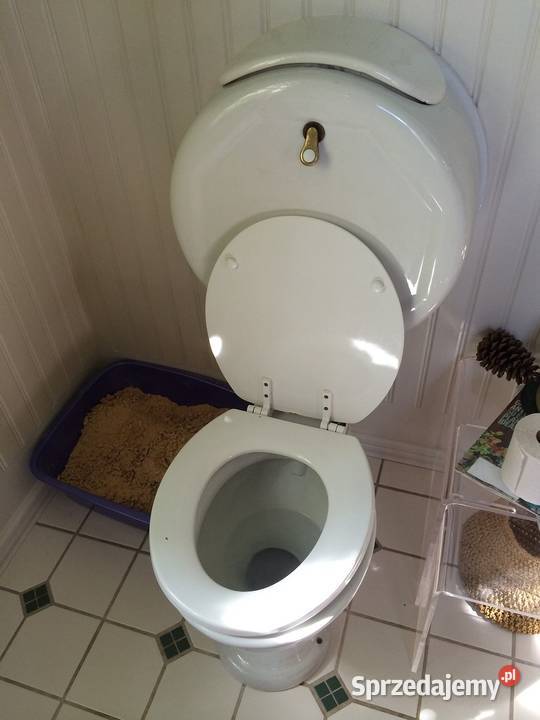 Przepchanie toalety Wrocław Kozanów Krzyki