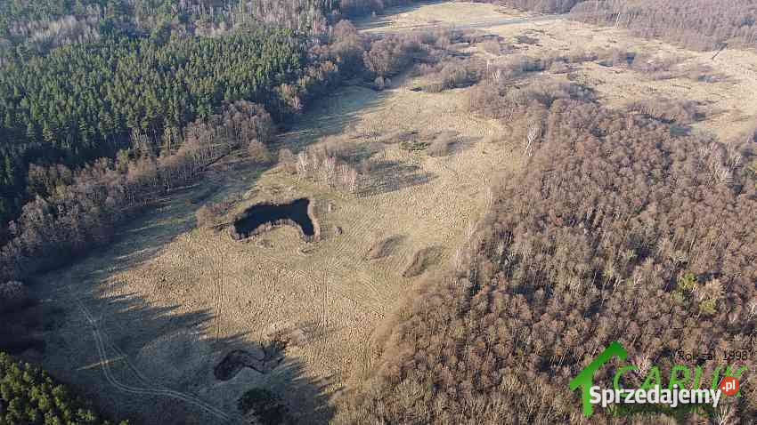 Grunt 10000m2 Łukęcin