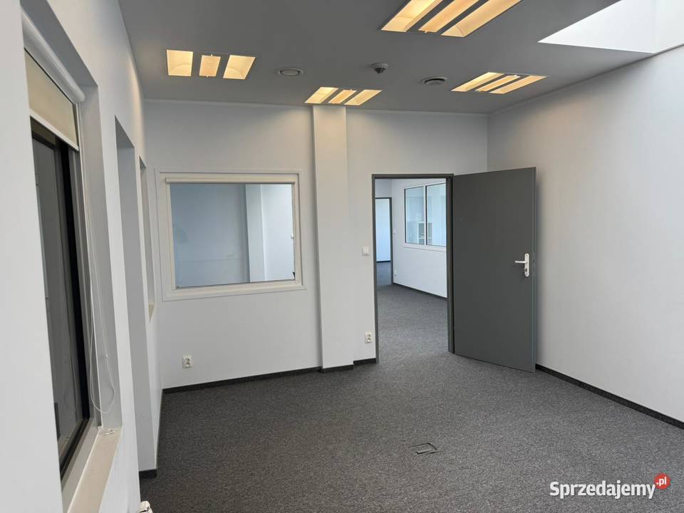 Magazyn POZNAŃ 5967 m2 1 mc bezpośrednio Poznań
