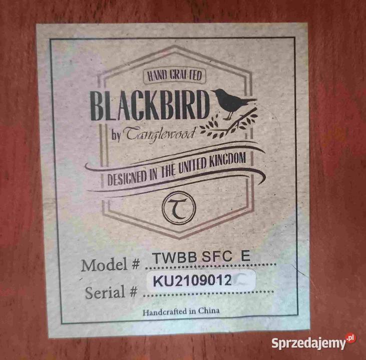 Gitara elektroakustyczna Tanglewood Blackbird Tuszyn sprzedam