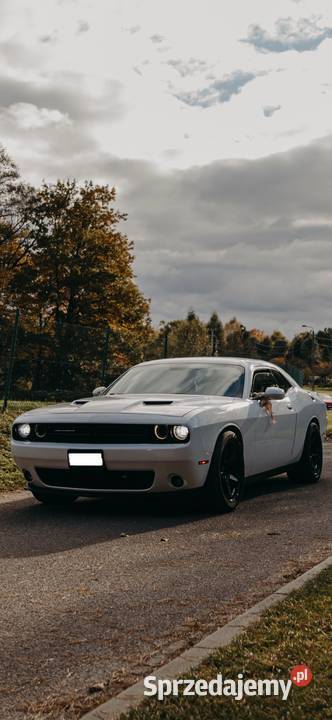 Wynajem samochodu do ślubu Dodge Challenger BMW Gliwice