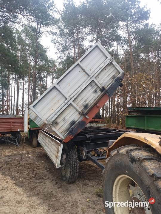 Przyczepa d55 3 stronny wywrot hl brandys Karsin