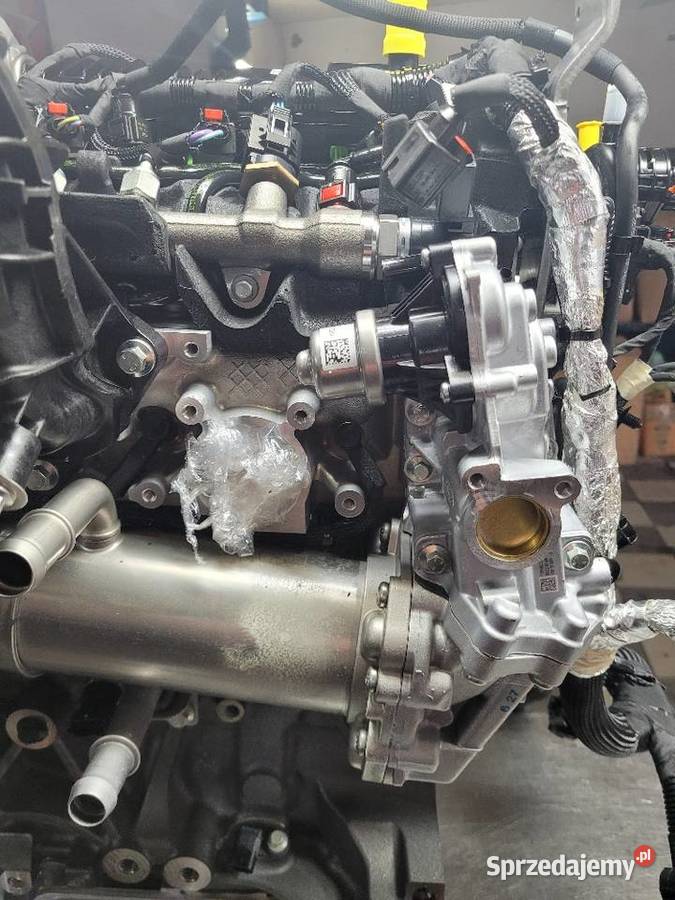 FORD RAPTOR SILNIK SERWIS MONTAŻ GWARANCJA Pozostałe