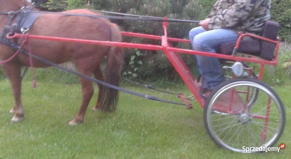 Dokart dwukołówka rydwan kuca Krotoszyce