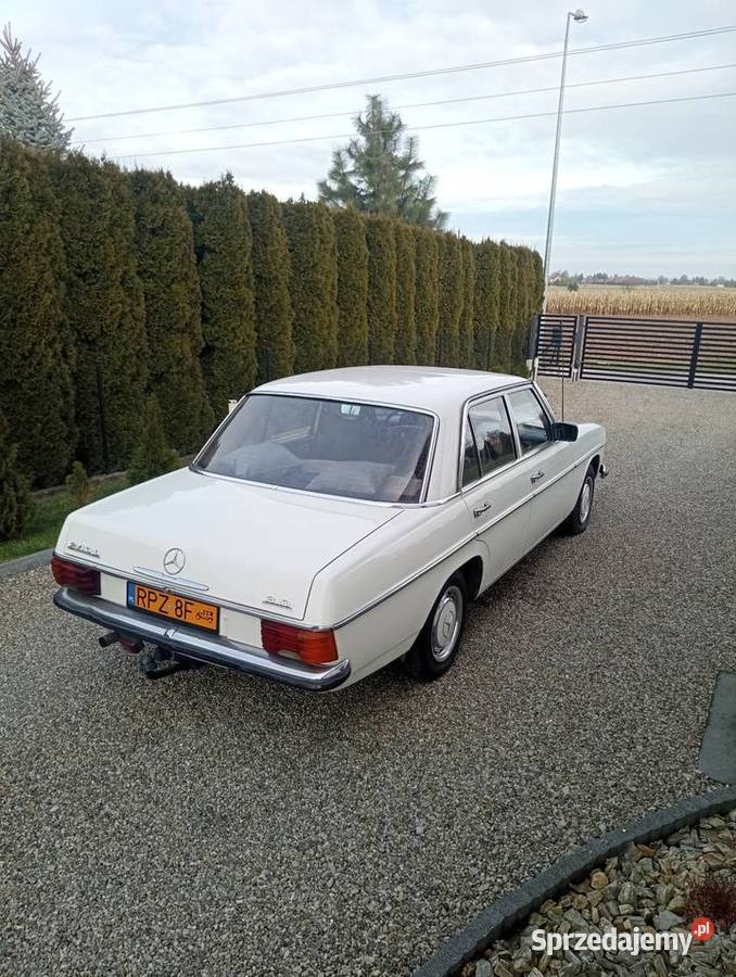 Mercedes w 115 W123