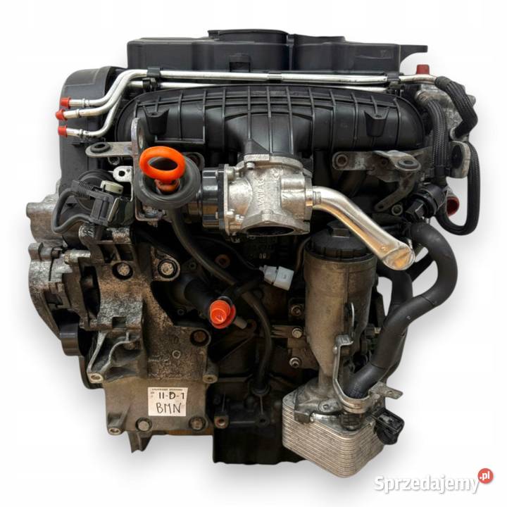 SILNIK BMN VW Golf V Touran Jetta III Seat Chełm