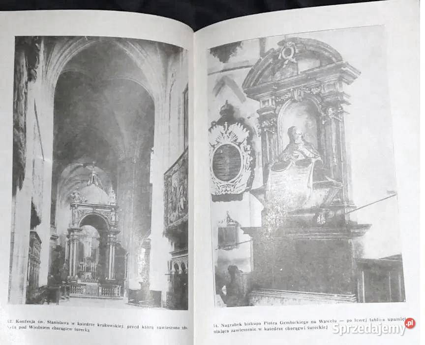 Tradycja wiedeńska w Krakowie Michał Rożek Chełm