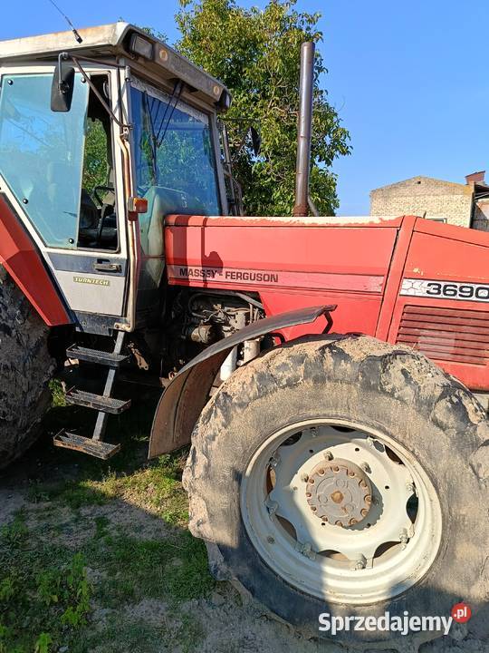 Masaj Ferguson Brzeg