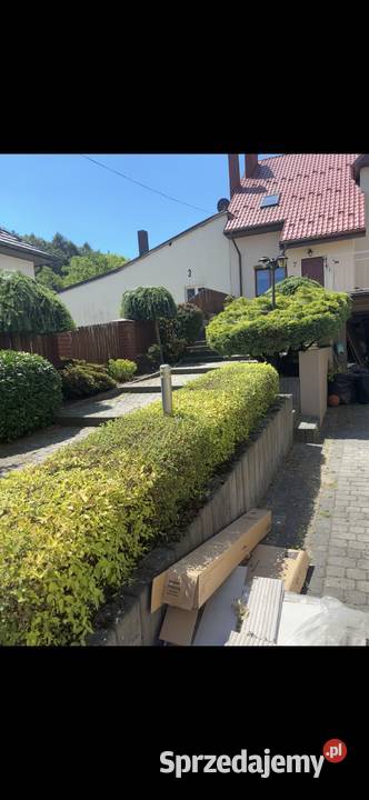 Usługi ogrodniczo - transportowe tel: 514-355-472
