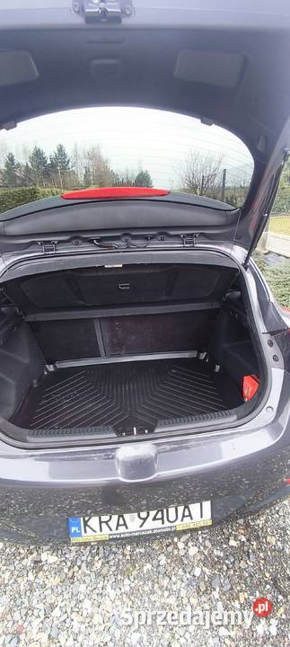 Hyundai i 30 Niski przebieg diesel Hyundai małopolskie