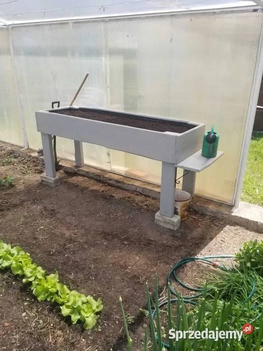 Zielnik warzywniak inspekt donica Ryki