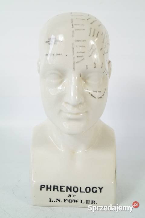 Porcelanowa Głowa Medyczna PHERNOLOGY mapa mózgu Gizałki sprzedam