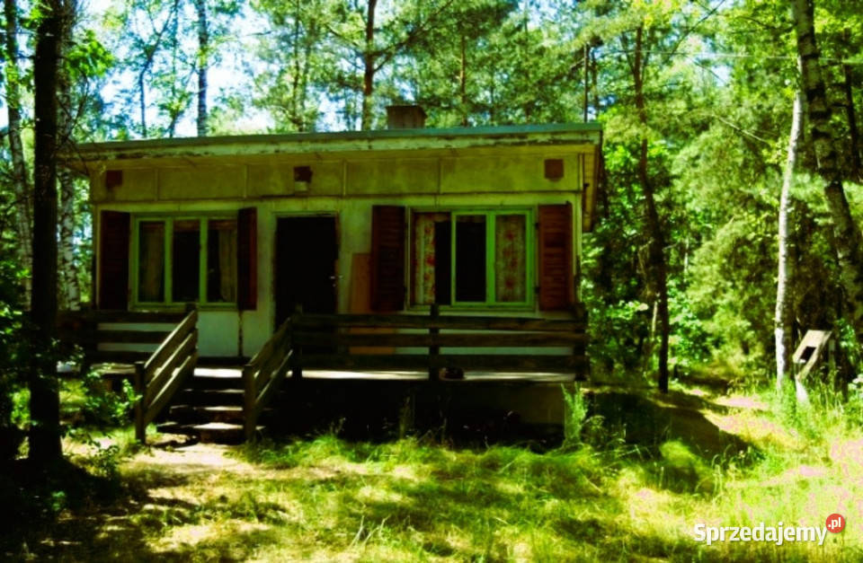 7810m2działka bud 4965m22845m2LAS Sprzedaż Kania Góra